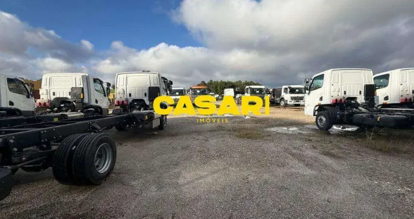 Terreno de 6.500m² Plano e Pavimentado para Logística e Transportadoras – Próximo à Imigrantes, Anchieta e Rodoanel