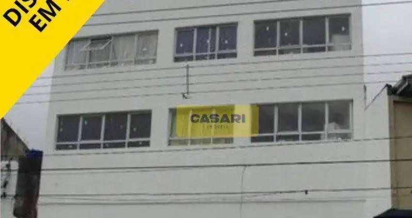DISPONIVEL PARA VISITAS À PARTIR DE JULHO.