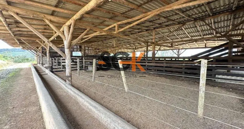 Sítio com estrutura completa para confinamento e agricultura | são joão do itaperiú