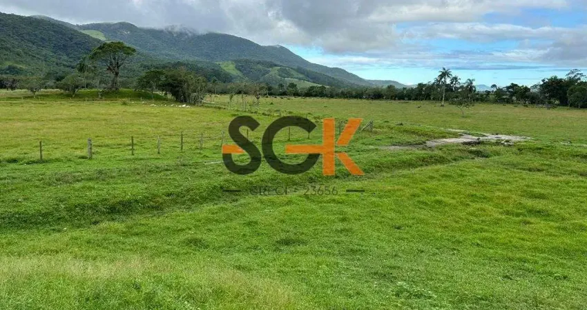 Fazenda de 300 hectares com estrutura completa - paulo lopes/sc | permuta até 50%