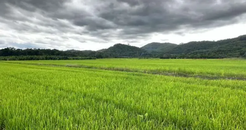 Fazenda de rizicultura à venda - 35,25 ha em vila nova, joinville/sc
