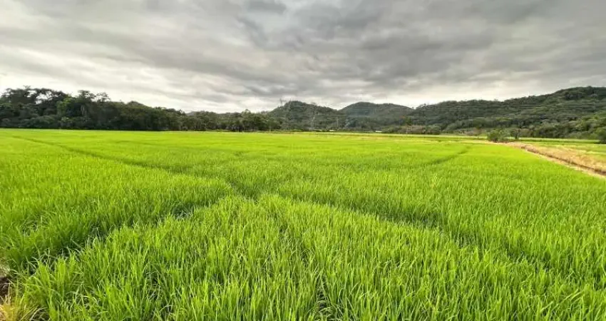 Sítio produtivo 14,8 ha | área irrigada e plana na vila nova joinville