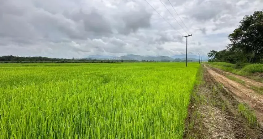 Fazenda de 44 hectares à venda em joinville-sc, vila nova: oportunidade única de investimento!