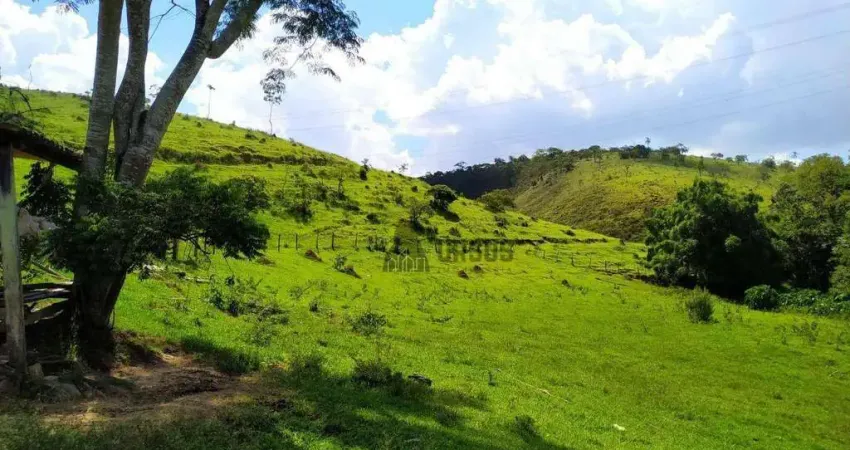 Sítio com excelente localização 1016400 m² por r$ 2.000.000 - granjas rurais reunidas são judas tadeu - taubaté/sp