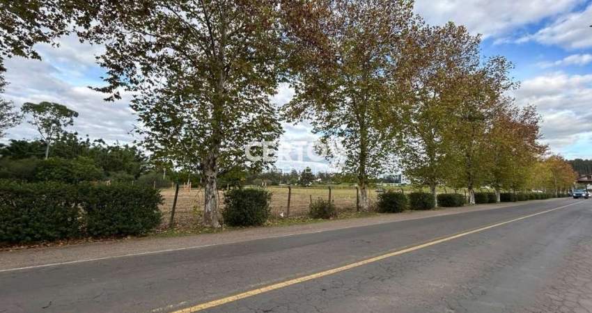 Terreno à venda na Avenida José Antônio de Oliveira Neto, 206, Centro, Araricá