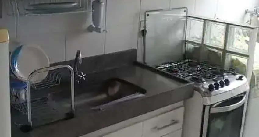 Apartamento à Venda em Vossoroca, Sorocaba – 2 Quartos, 48m²