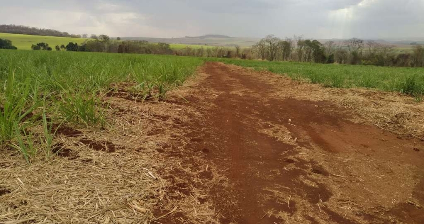 Sitio para venda em Igarapava-SP, com 61 alqueires sendo 33 alqueires em cana, terra de cultura, córrego na propriedade, proximo de Usinas