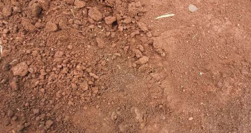 Fazenda para venda na região de Batatais-SP, com 169  alqueires sendo 100 alqueires em cana arrendada, rica em agua