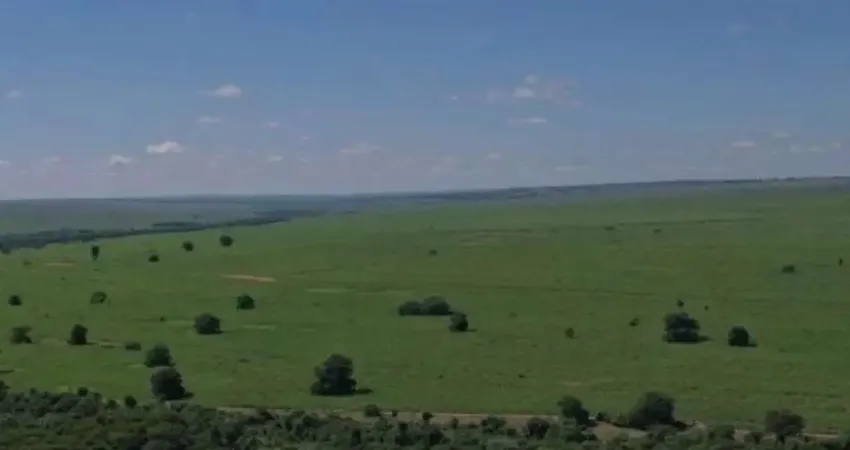 Fazenda para venda na região de Rosana-SP com 660 alqueires sendo 490 alqueires em cana mais pastagem, beira do Rio e benfeitorias