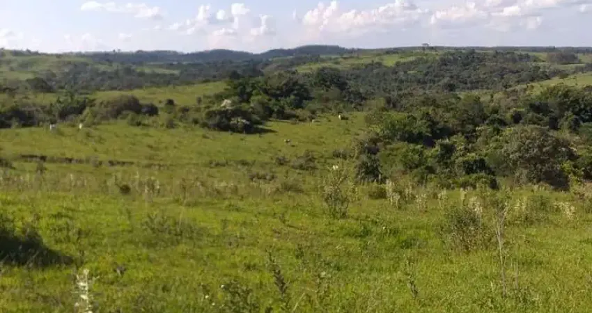 Fazenda para venda na região de Pirajui-SP com 73 alqueires na pecuaria, boa de agua, casa sede e mangueira, 15 km da cidade, vende desmembrado