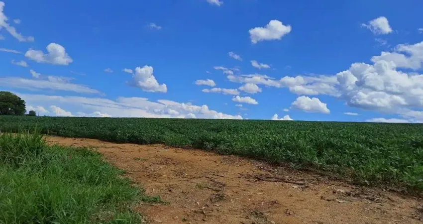 Sitio para venda na região de Araxa-MG com 50 hectares sendo 47 hectares para lavoura, irriga com pivô 28 hectares, altitude 900 m