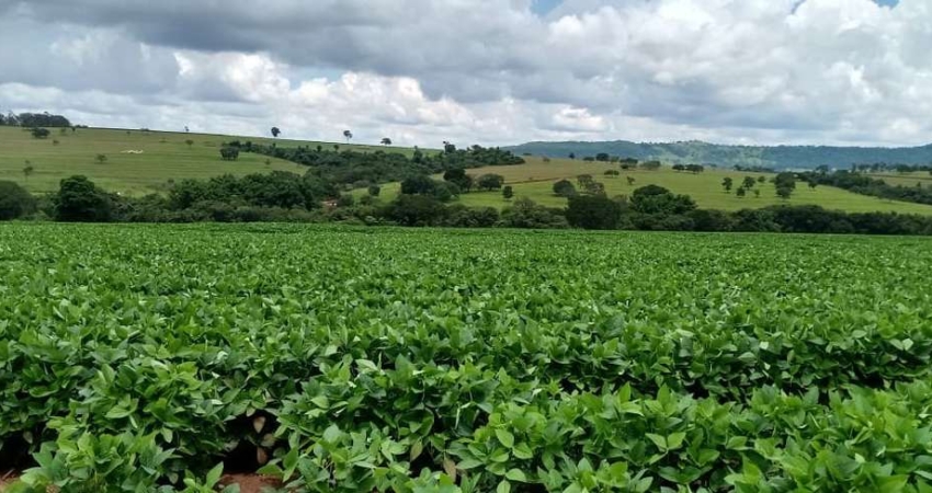Fazenda para venda na região de Cafelandia-SP com 120 alqueires sendo 100 alqueires em soja arrendada, rio na divisa