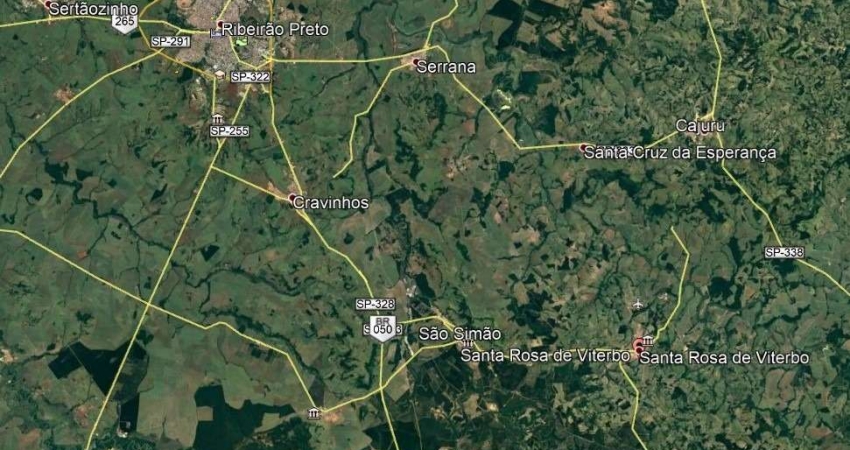 Sitio para venda em Santa Rosa de Viterbo-SP com 4,25 alqueires em eucalipto próprio, topografia com declive, ótima localização