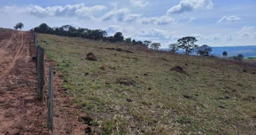 Sitio para venda em Santa Rosa de Viterbo-SP com 5,65 alqueires em pastagem, curral simples, pode plantar 3,5 alqueires