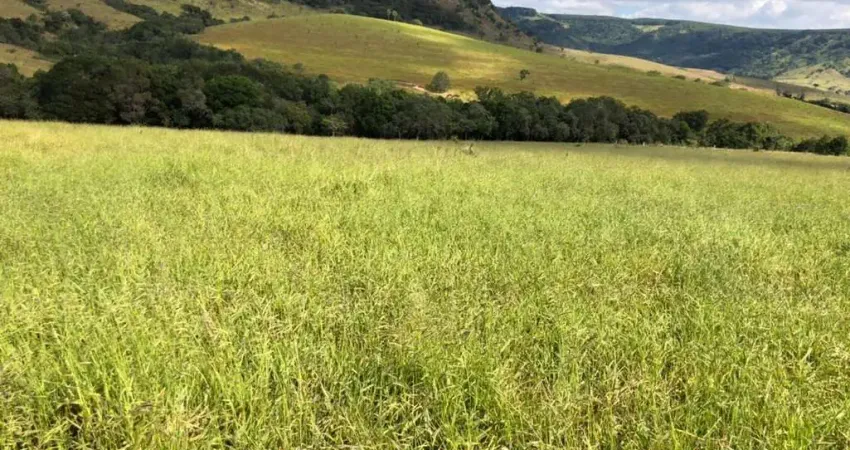 Sitio para venda na região de São Carlos-SP com 33 alqueires, 80% aproveitamento pecuária ou eucalipto, 60% aproveitamento para lavoura, boa de agua