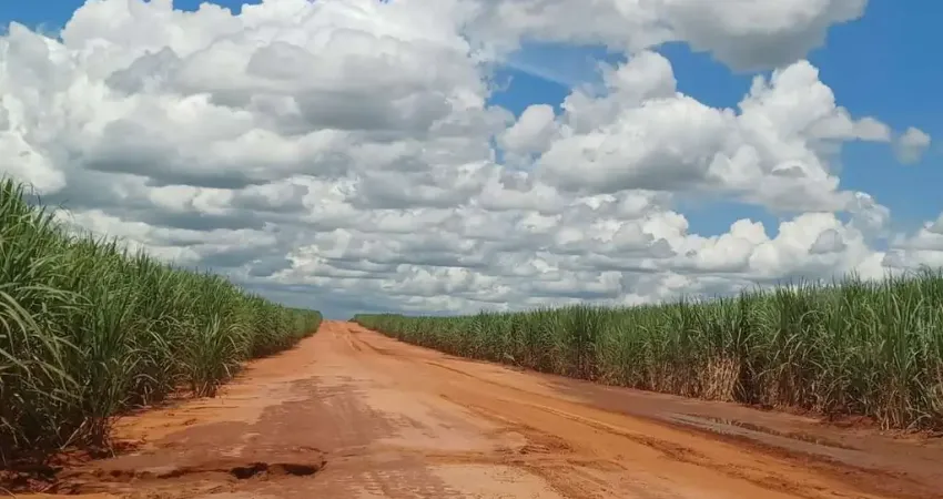 Fazenda para venda na região de Junqueiropolis-SP com 265 alqueires sendo 220 alqueires em cana arrendada, próxima da Usina, sem benfeitorias