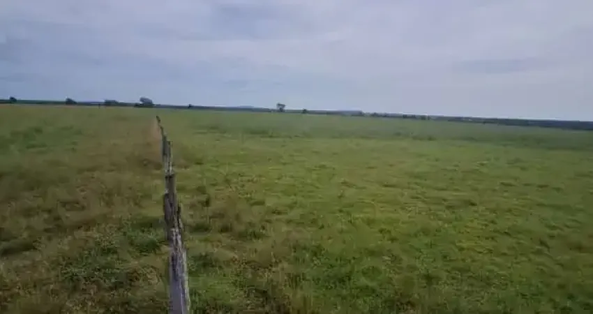 Fazenda na pecuaria para venda na região de Mozarlandia-GO com 2.100 hectares toda aberta e formada, planta 1.350 hectares, rica em agua e muitas benf