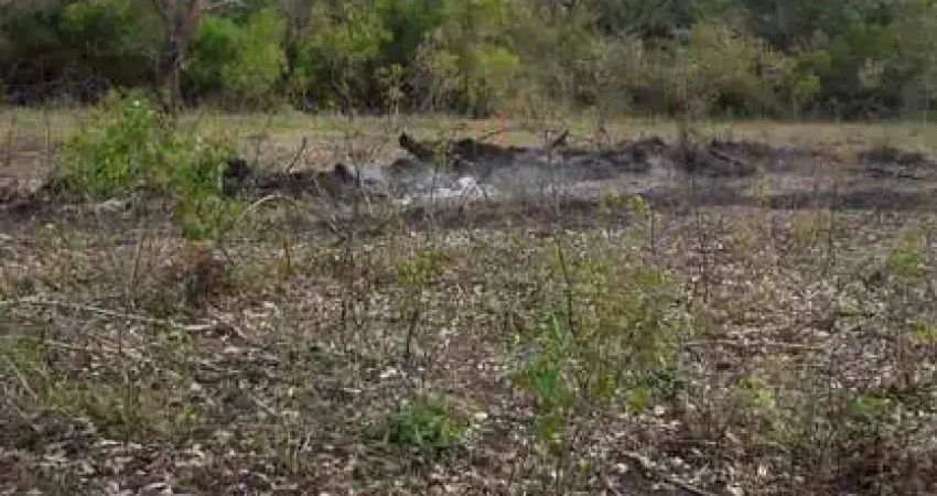 Fazenda para venda na região de Corumba-MS no Pantanal com 1.580 hectares na pecuária, benfeitorias simples