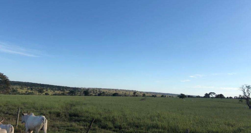 Fazenda dupla aptidão na região de Anaurilandia-MS com 150 alqueires formada na pastagem e muitas benfeitorias