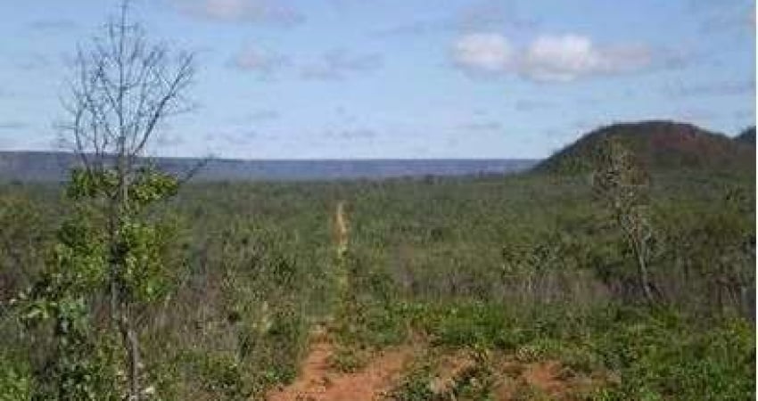 Fazenda para venda na região de Formosa do Rio Preto-BA com 12.500 hectares, logística excelente, região nobre para lavoura