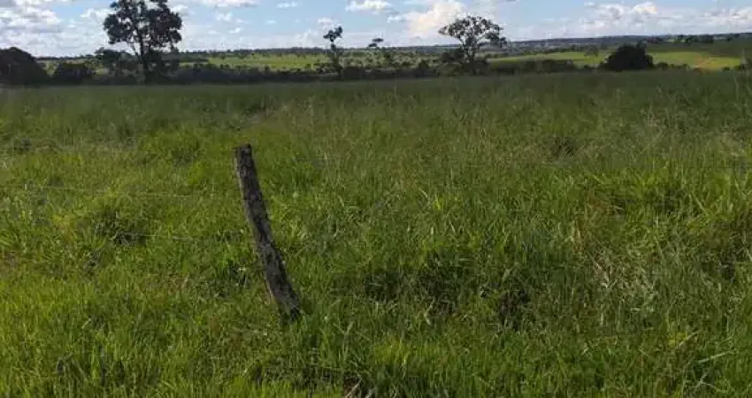 Fazenda para venda na região de Iturama-MG com 992 hectares montada na pecuária, benfeitorias, rica em agua, pode rodar pivo