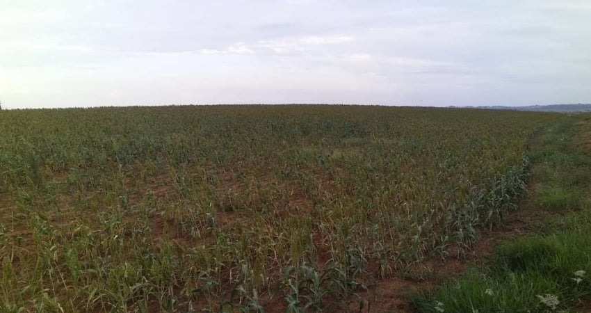 Fazenda dupla aptidao para venda na região de Tupa-SP com 40 alqueires, próxima da cidade, sem benfeitorias, planta 20 alqueires
