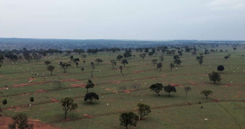 Fazenda para venda na região de Amambai-MS com 870 hectares na pecuária, toda formada, benfeitorias