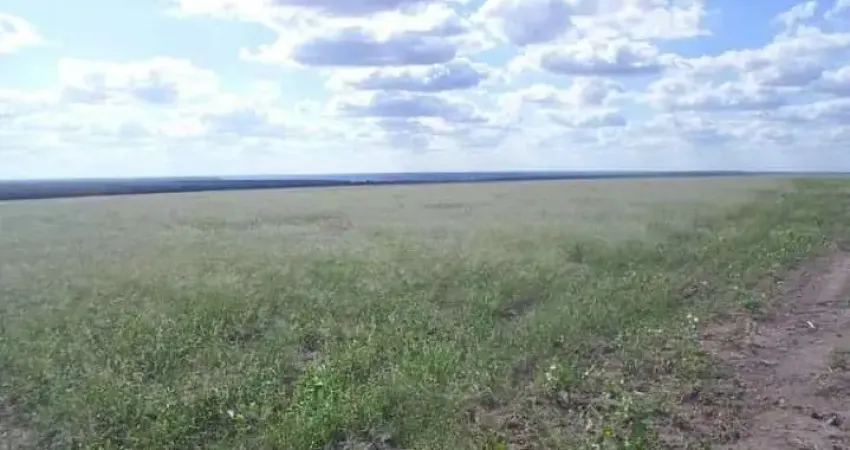 Fazenda para venda na regiao de Bom Jesus-PI com 1.299  hectares, sendo 200 hectares abertos para lavoura, benfeitorias