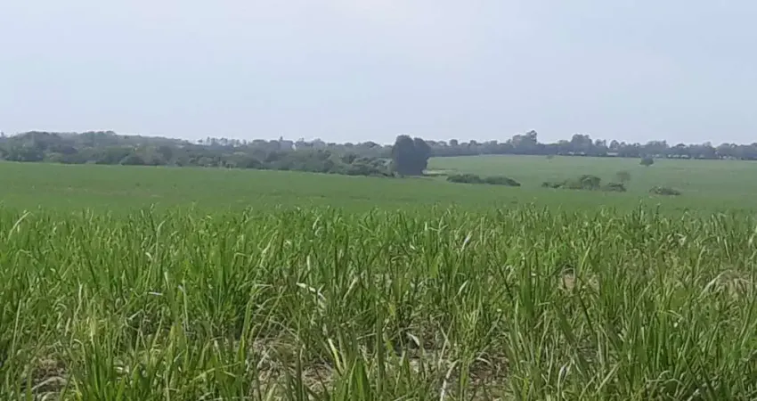 Sitio para venda na região de Porto Ferreira-SP com 5,5 alqueires sendo 5 alqueires em cana arrendada, plana, sem benfeitorias, boa de agua