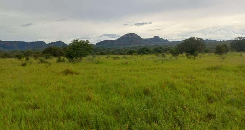 Fazenda dupla aptidão para venda na região de Centenario-TO com 3.100 hectares, aproveita 1.500 hectares para lavoura, boa de agua, benfeitorias