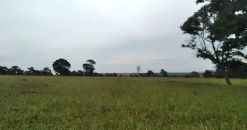 Fazenda dupla aptidao para venda na regia de Limeira Doeste-MG com 325 hectares, atual na pecuária, rica em agua, benfeitorias