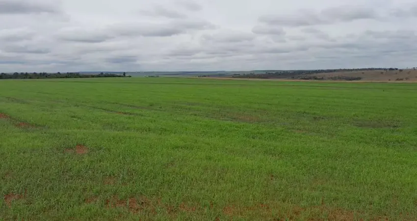 Fazenda para venda na região de Presidente Prudente-SP com 62 alqueires em soja com pivo, aproveita 88%, rica em agua