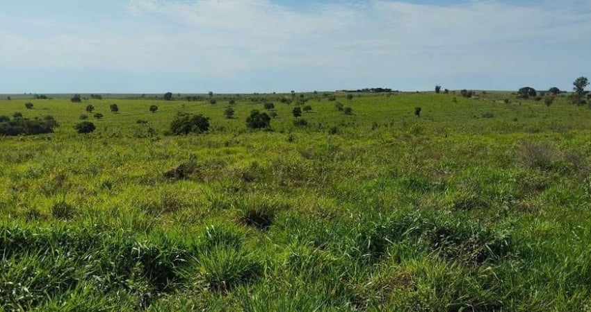 Fazenda para venda na região de Sonora-MS com 342 alqueires montada na pecuária, rica em agua e benfeitorias