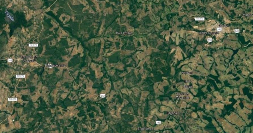 Fazenda dupla aptidao para venda na região de Cariri do Tocantins-TO com 3.590 hectares em lavoura e pastagem, boa de agua e benfeitorias