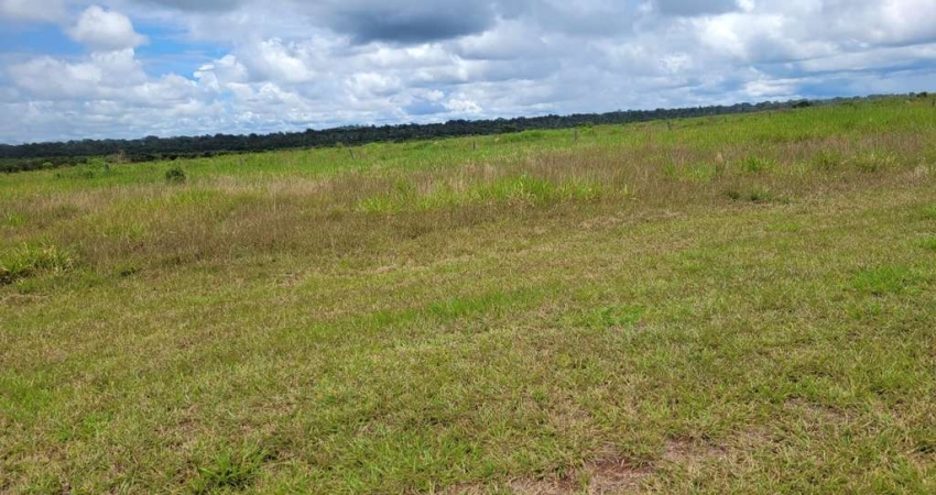 Fazenda dupla aptidao para venda na região de Matupa-MT com 35.000 hectares montada na pecuária, rica em agua e benfeitorias