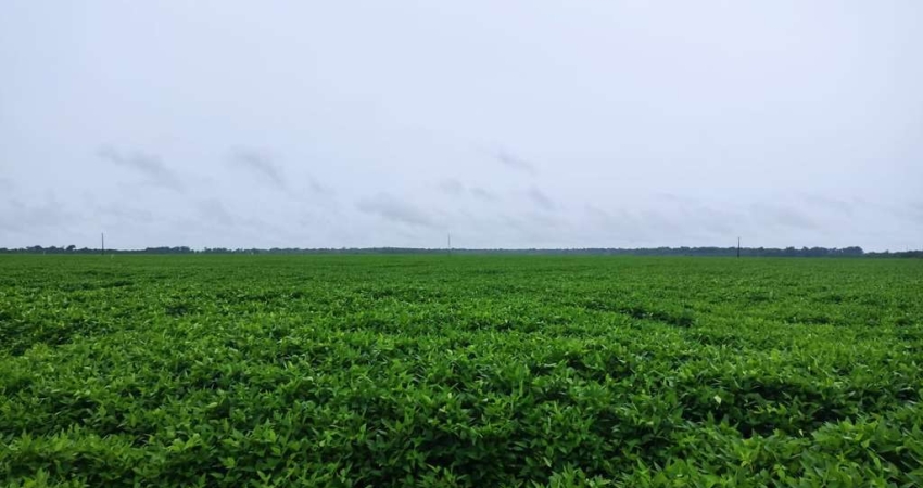 Fazenda para venda na região de Porto Alegre do Norte-MT com 992 hectares sendo 590 hectares na soja, boa de benfeitorias e rica em agua