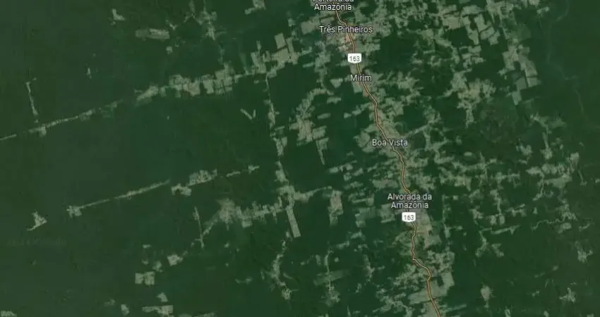 Fazenda dupla aptidão para venda na região de Novo Progresso-PA com 4.950 hectares sendo 2.500 hectares abertos