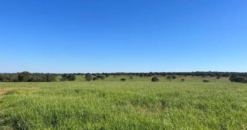 Fazenda para venda na região de Inocencia-MS com 98 alqueires na pecuária, boa de agua e de benfeitorias