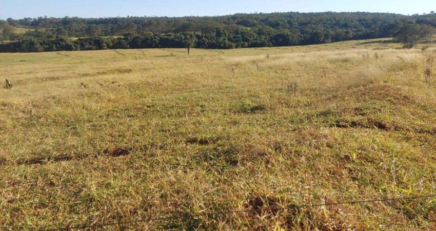 Fazenda dupla aptidao para venda na região de Ituiutaba-MG com 175 hectares na pecuária, pode plantar 140 hectares em cana ou soja