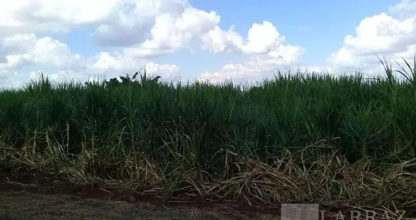 Fazenda para venda na região de São Carlos-SP, com 399 alqueires sendo 290 alqueires em cana mais pasto, muitas benfeitorias