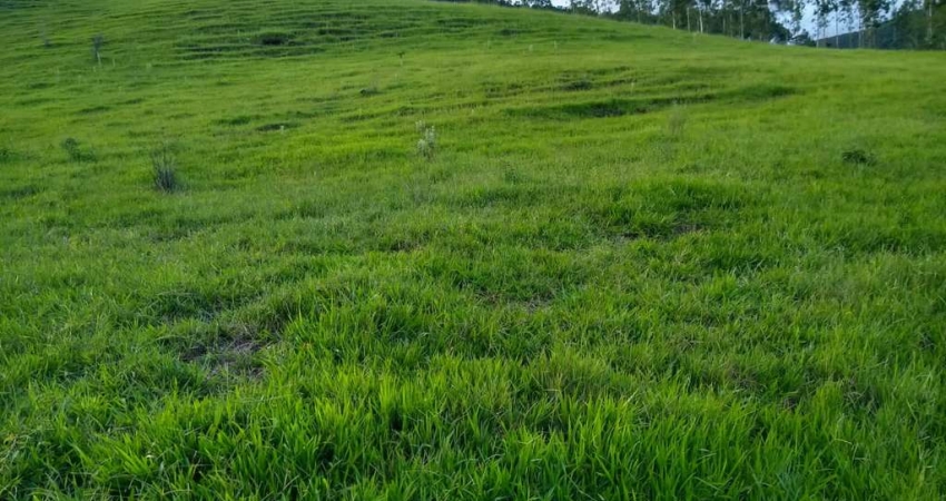 Fazenda na pecuária para venda na região de Torrinha-SP com 140 alqueires, benfeitorias e rica em agua