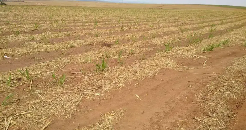 Fazenda para venda na região de Brotas-SP com 128 alqueires sendo 110 alqueires em cana arrendada, rica em agua, rio na propriedade