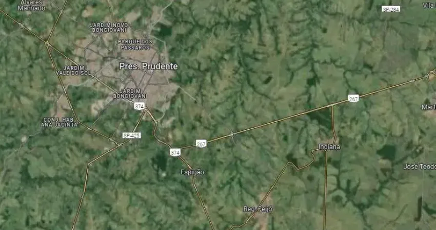 Fazenda para venda na região de Presidente Prudente-SP com 48 alqueires montada na pecuária, benfeitorias