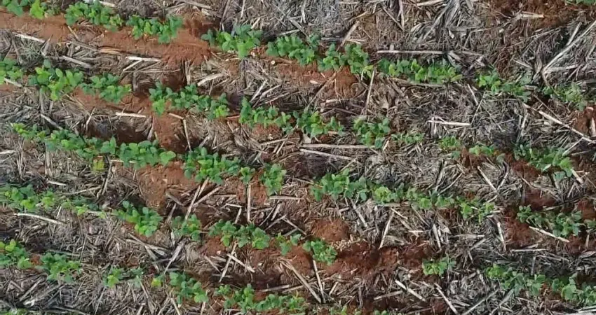 Fazenda dupla aptidao para venda na região de São Jose do Rio Claro-MT com 710 hectares, sendo 450 hectares lavoura e o restante pastagem