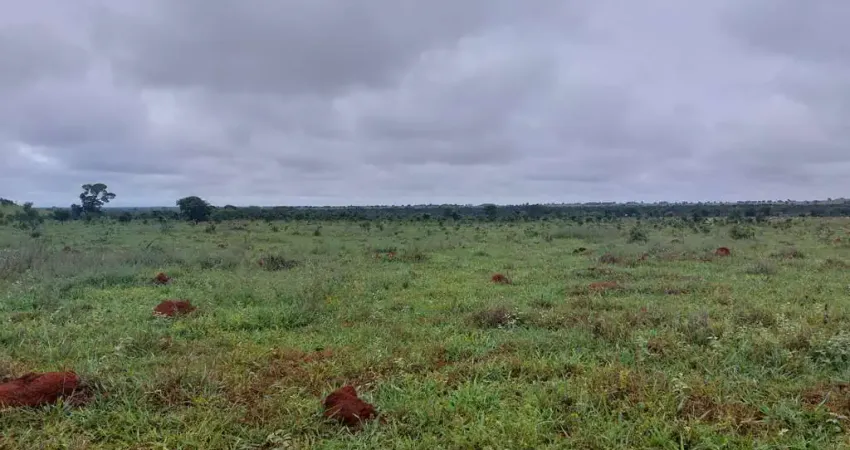 Fazenda grande extensão dupla aptidao a venda na região de Nova Nazare-MT com 33.000 hectares sendo 19.000 abertos, completa, rica em agua