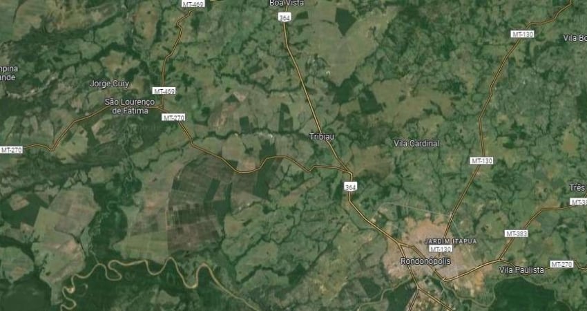 Fazenda dupla aptidao para venda na região de Rondonopolis-MT com 337 hectares, atula na pecuária, região de soja, rica em agua