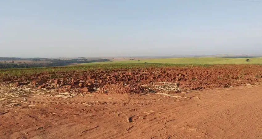 Fazenda dupla aptidao para venda na região de Lins-SP com 115 alqueires em cana e pastagem, fazenda completa