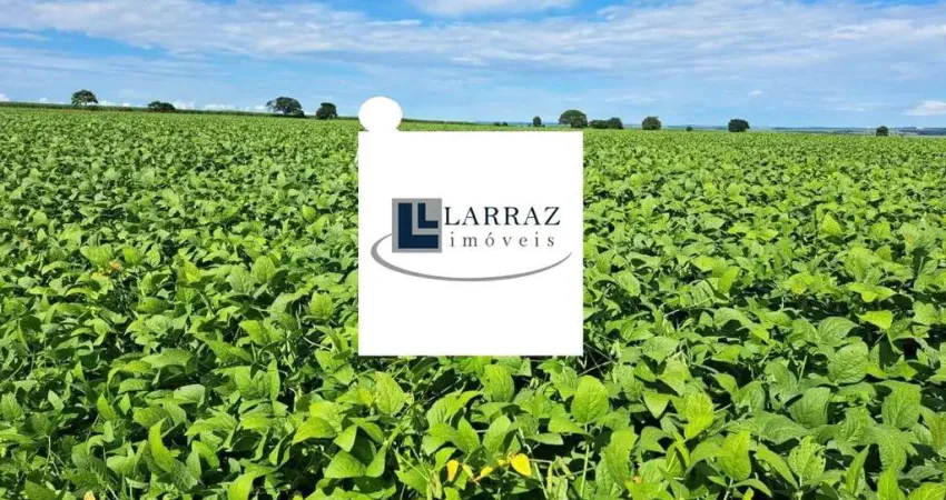 Fazenda para venda na região de Itabera-SP com 998 hectares sendo 750 hectares agricultáveis, benfeitorias, ao lado da cidade