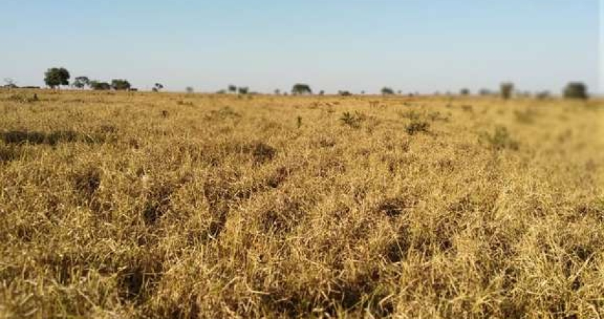 Fazenda dupla aptidao para venda na região de Paranaiba-MS com 535 alqueires SP montada na pecuária, rica em agua