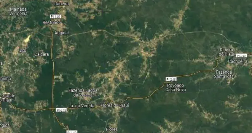 Fazenda bruta para venda na região de Flores do Piaui-PI com 1.750 hectares, madeira em abundancia, boa de agua, beira do asfalto, benfeitorias